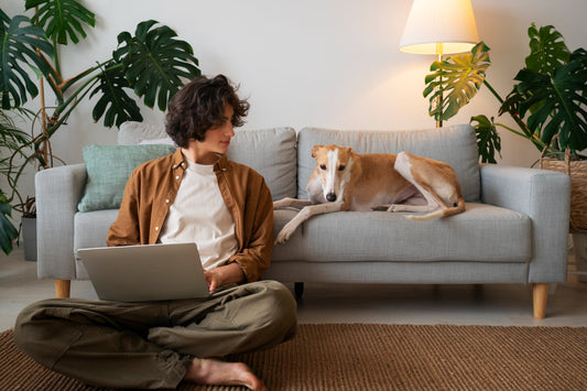 How Scratch-Resistant is SPC Flooring for Pets?