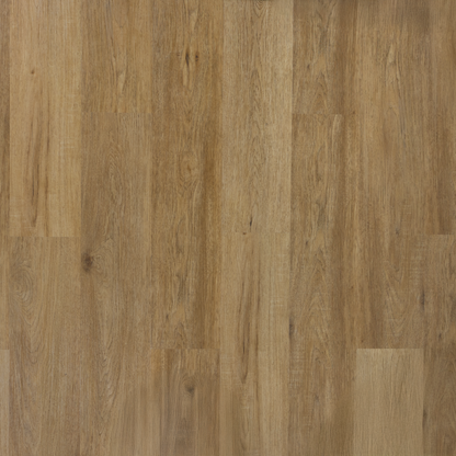SPC Rigid Core Flooring, Click Lock Floating, Hampshire - Free Sample - Ezzy Manufacturing