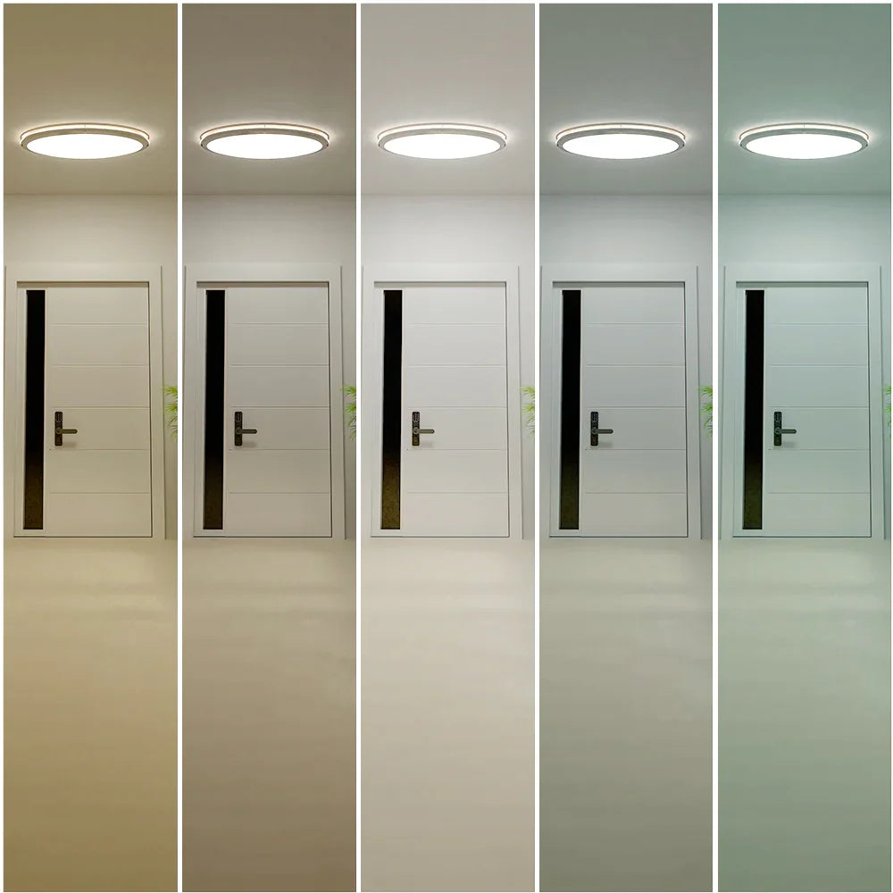 32-InchOvalDoubleRingLEDCeilingLight-Imagecct - Ezzy Manufacturing