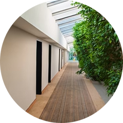 Eco-Friendly Visual Flooring