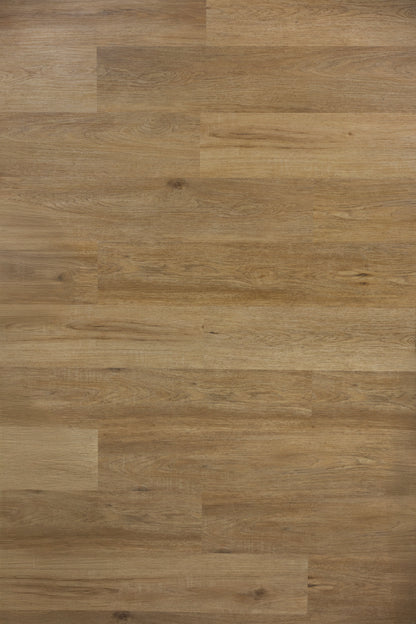SPC Rigid Core Flooring, Click Lock Floating, Hampshire - Free Sample - Ezzy Manufacturing
