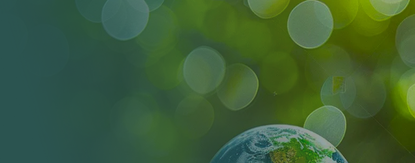 Sustainability