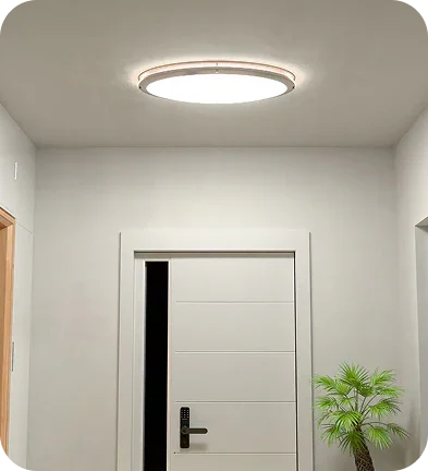 Modern ceiling light illuminating minimalist entryway with white door and plant